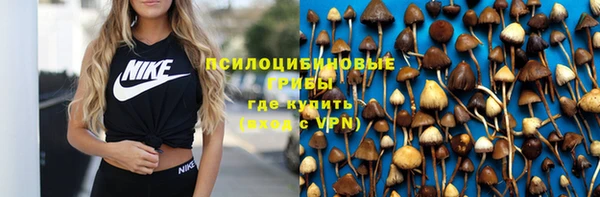 трава Бородино