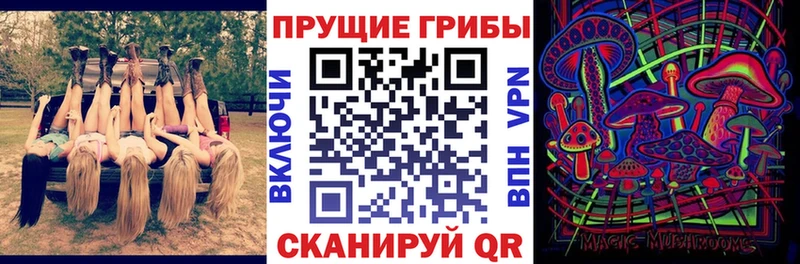 Галлюциногенные грибы Psilocybe  Стерлитамак 